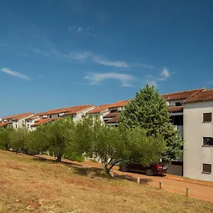 provjera dostupnosti
